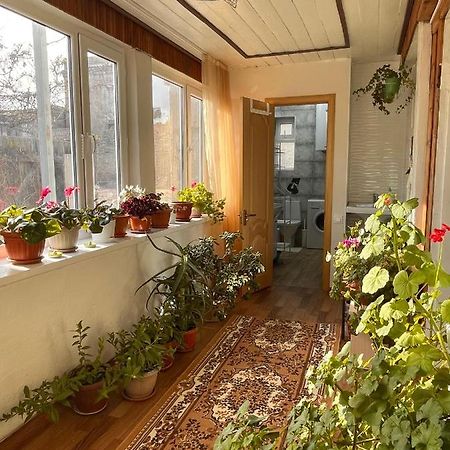 Gulnara Guest House バルイクチ エクステリア 写真
