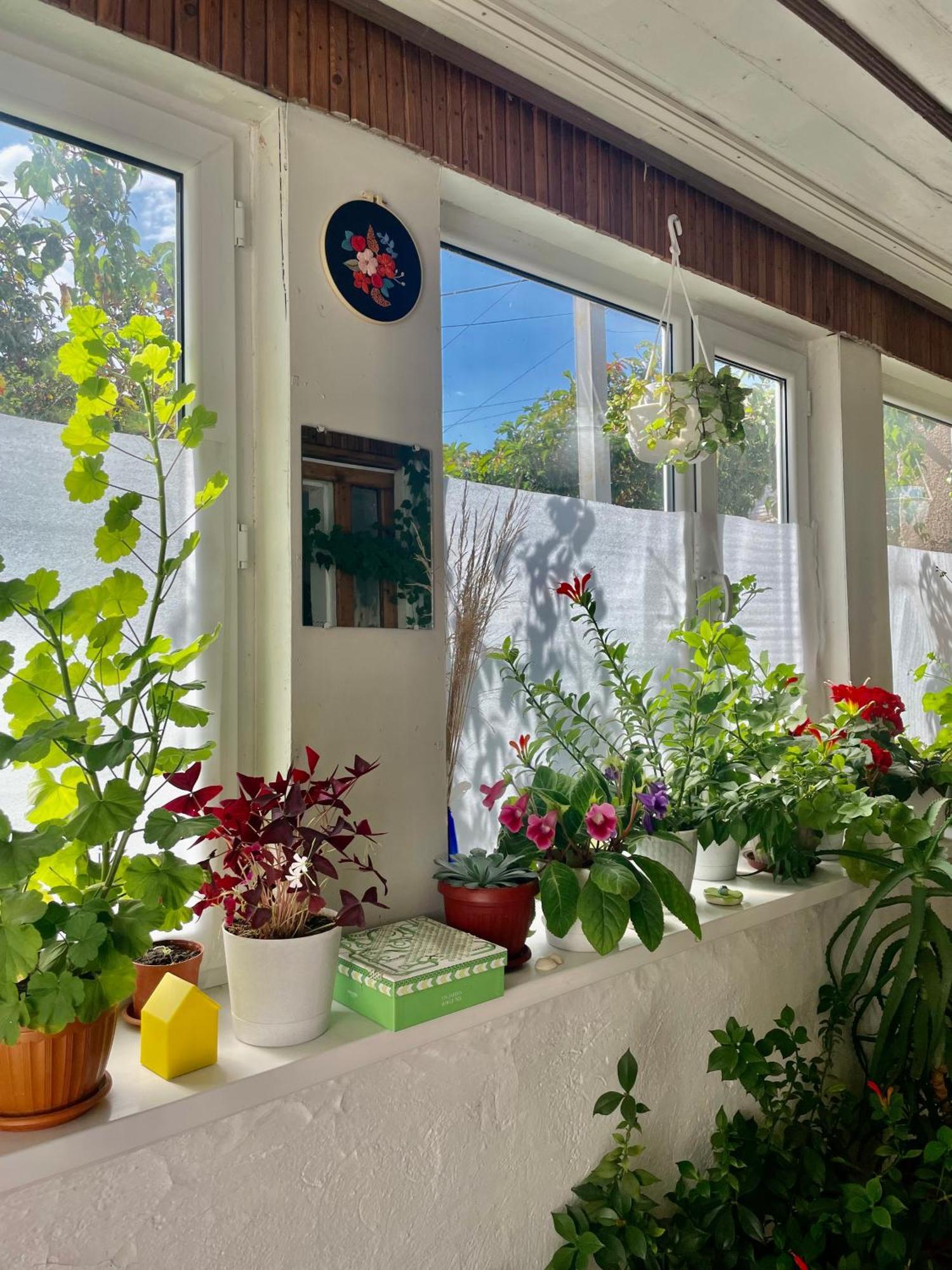 Gulnara Guest House バルイクチ エクステリア 写真