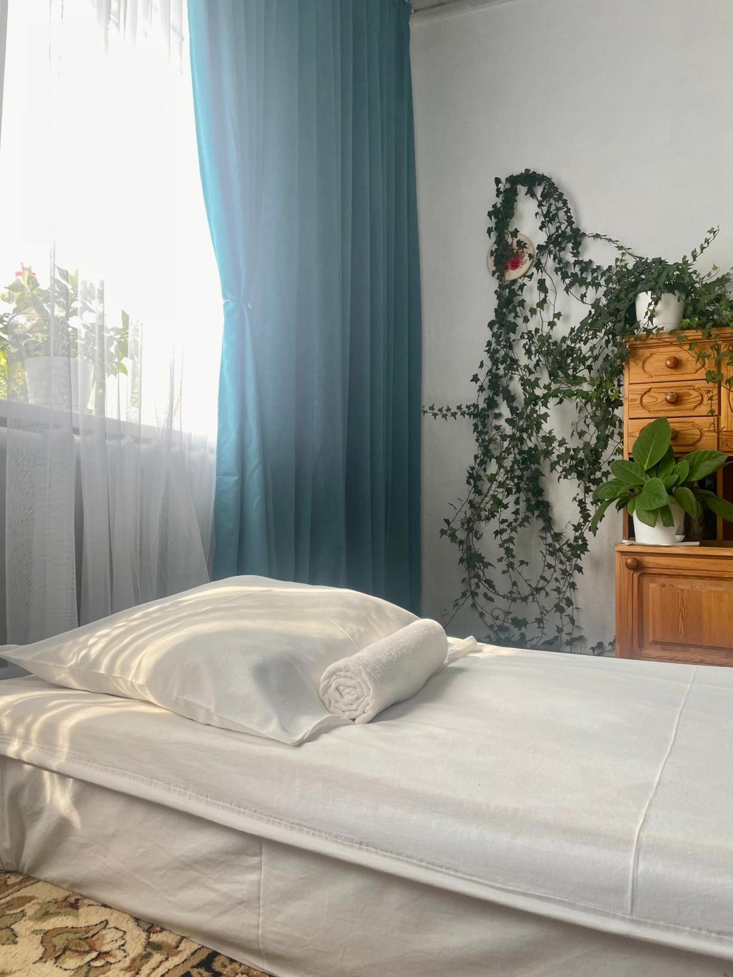 Gulnara Guest House バルイクチ エクステリア 写真